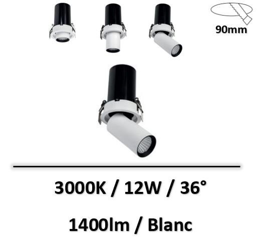 spot-led-spectrum-12W