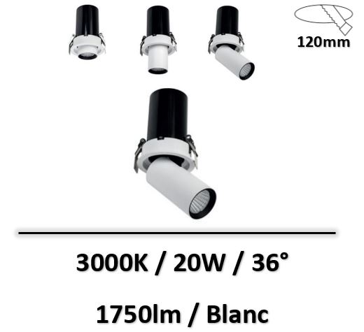 spot-led-blanc-spectrum-20W