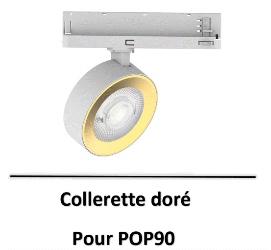 SPOT-pop-lited