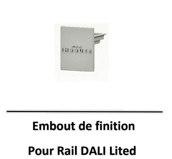 rail-dali