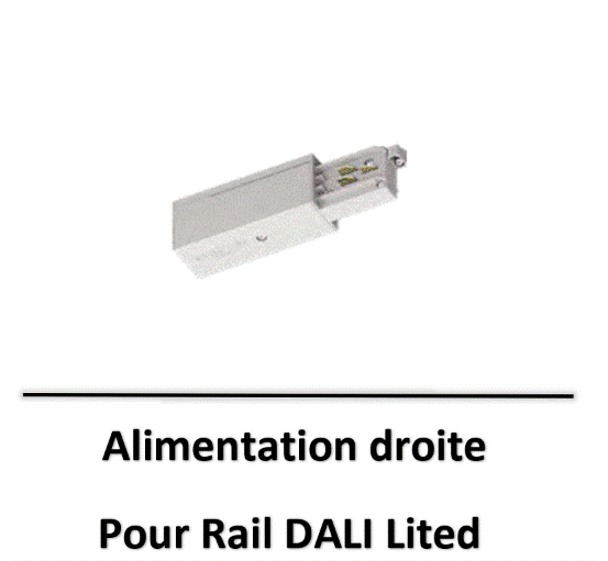 rail-lited