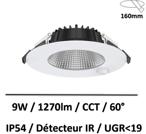 spot-lited