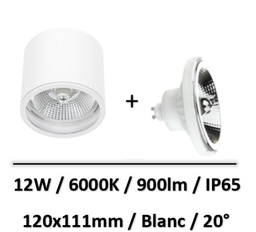spot-led-saillie-IP65-blanc-12W