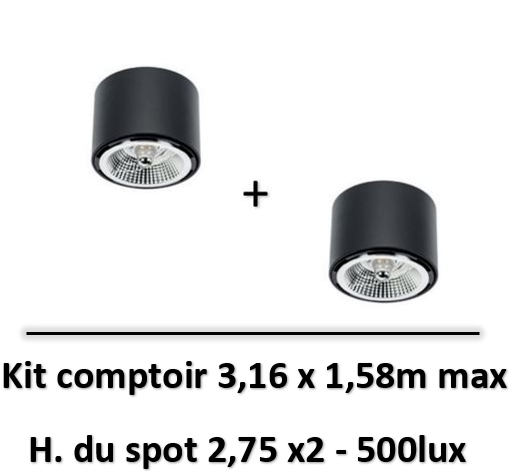 Spectrum - Applique saillie noir + lampe 12W 45° AR111 4000K - SLIP005011x2+WOJ+14569x2