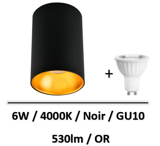 spot-led-saillie-noir-or-arlux-6W