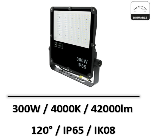 projecteur-led300W-4000K