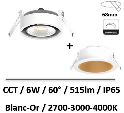 spot-blanc-or-basse-luminance-6W-CCT-miidex
