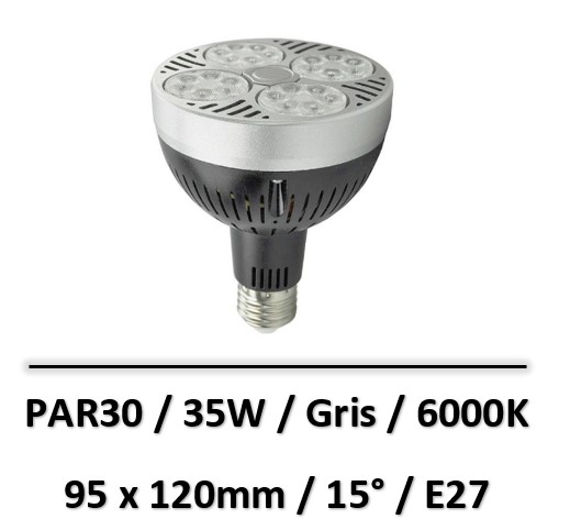 ampoule-led-35W-PAR30-gris-6000K