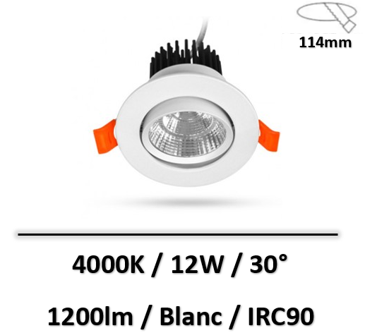 spot-led-blanc-12W-miidex