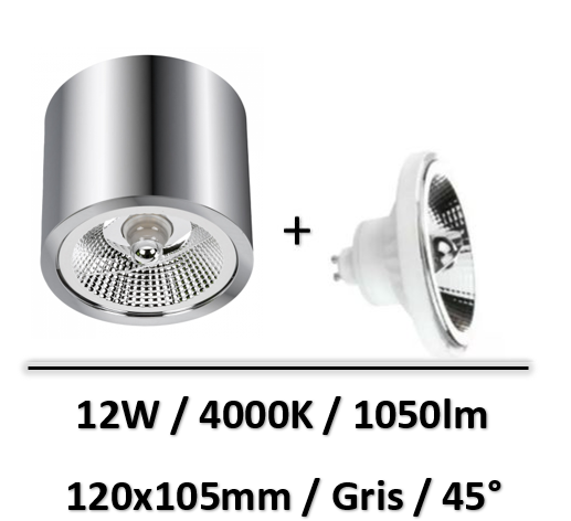 Spectrum - Applique saillie gris + lampe 12W 45° AR111 - SLIP005030+WOJ+14564