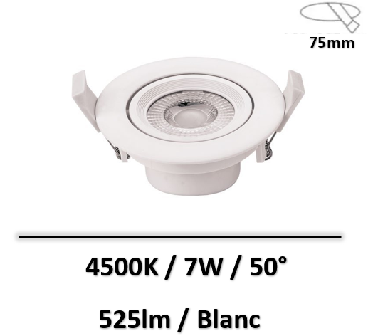 spot-led-optonica-blanc-4500K