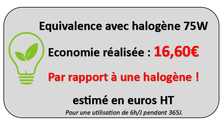 economie-realise