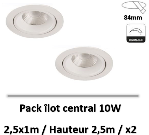 Lited - Downlight LED COBI orientable 10W 3000K Blanc - Dimmable - LT-DWO-10PWWx2