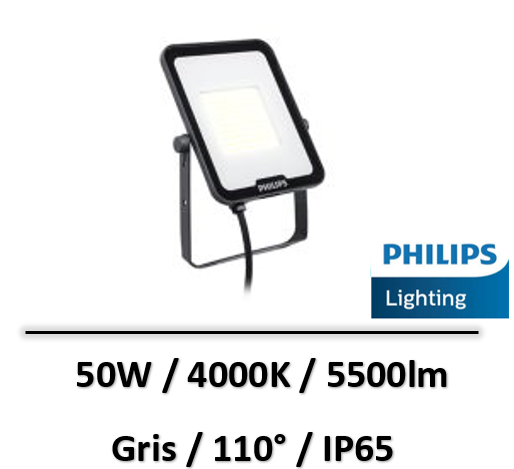 projecteur-led-50W-gris-philips