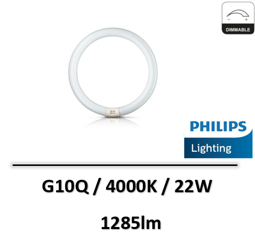 ampoule-led-G10Q