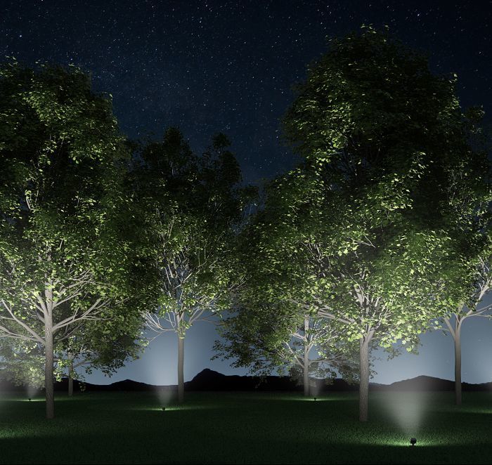eur-erco-illuminating-trees-correctly-intro-11-15