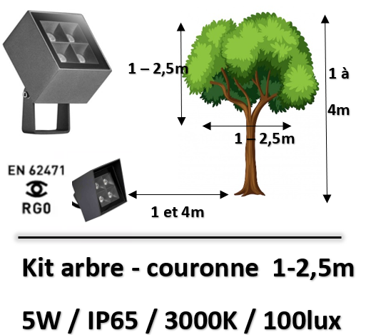 eclairage arbre
