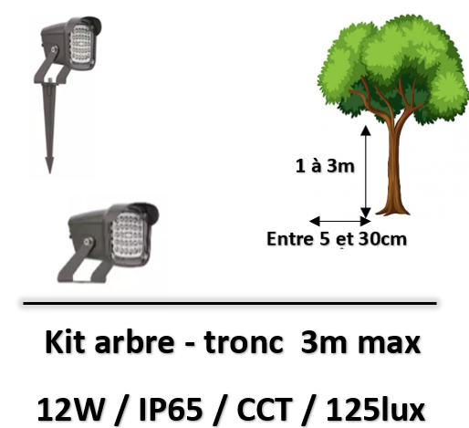 eclairage-tronc-d-arbre