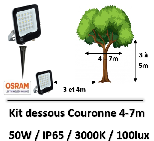 eclairage-arbre