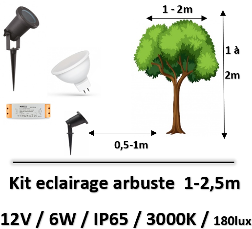eclairage-arbuste