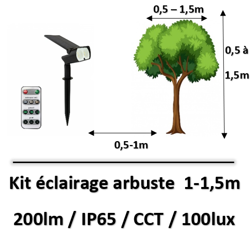 eclairage-arbuste