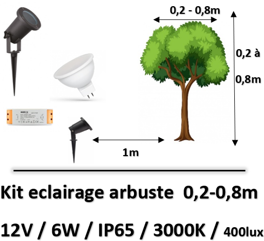 eclairage-arbuste