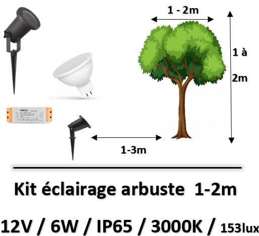 éclairage-arbuste
