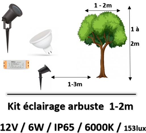 éclairage-arbuste