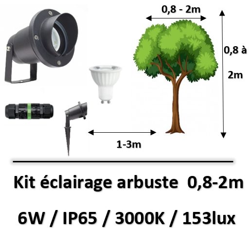eclairage-arbuste