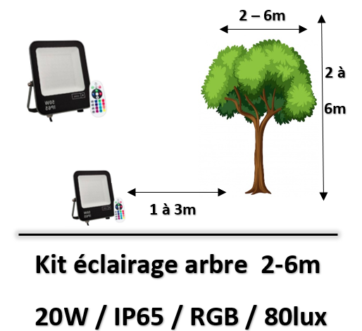 eclairage-arbre