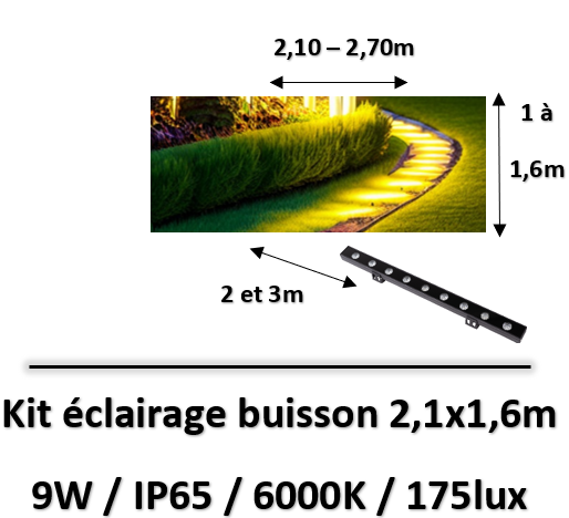 eclairage-buisson