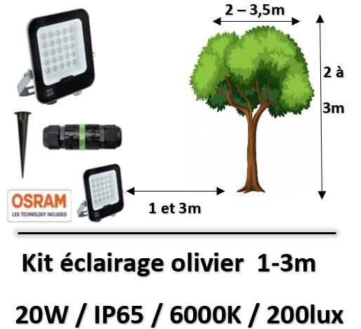 kit-eclairage-olivier