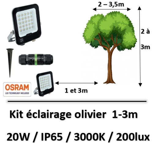eclairage-olivier