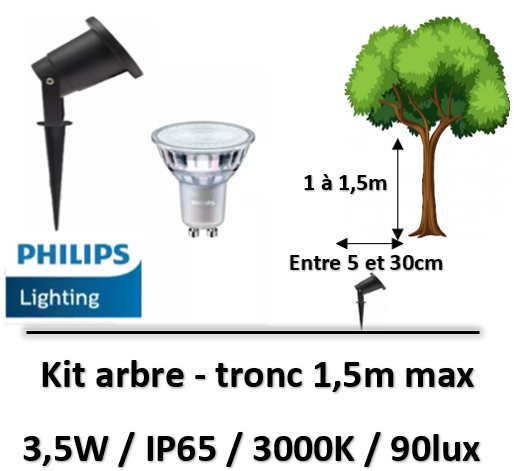 eclairage-led-arbre