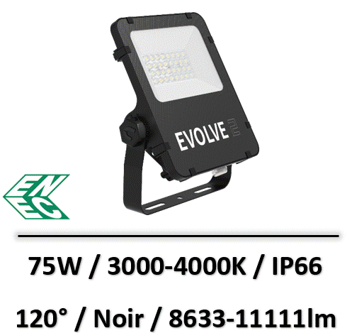 projecteur-led-lebenoid