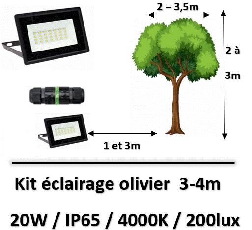 projecteur-pour-olivier