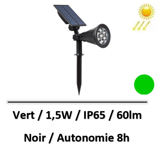 projecteur-sur-piquet-vert