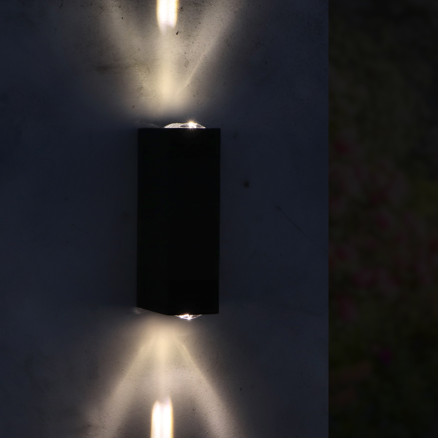 lm6155_66716f783e9e9-800x800