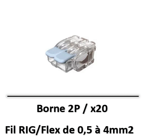 borne-fil-rigide-2P