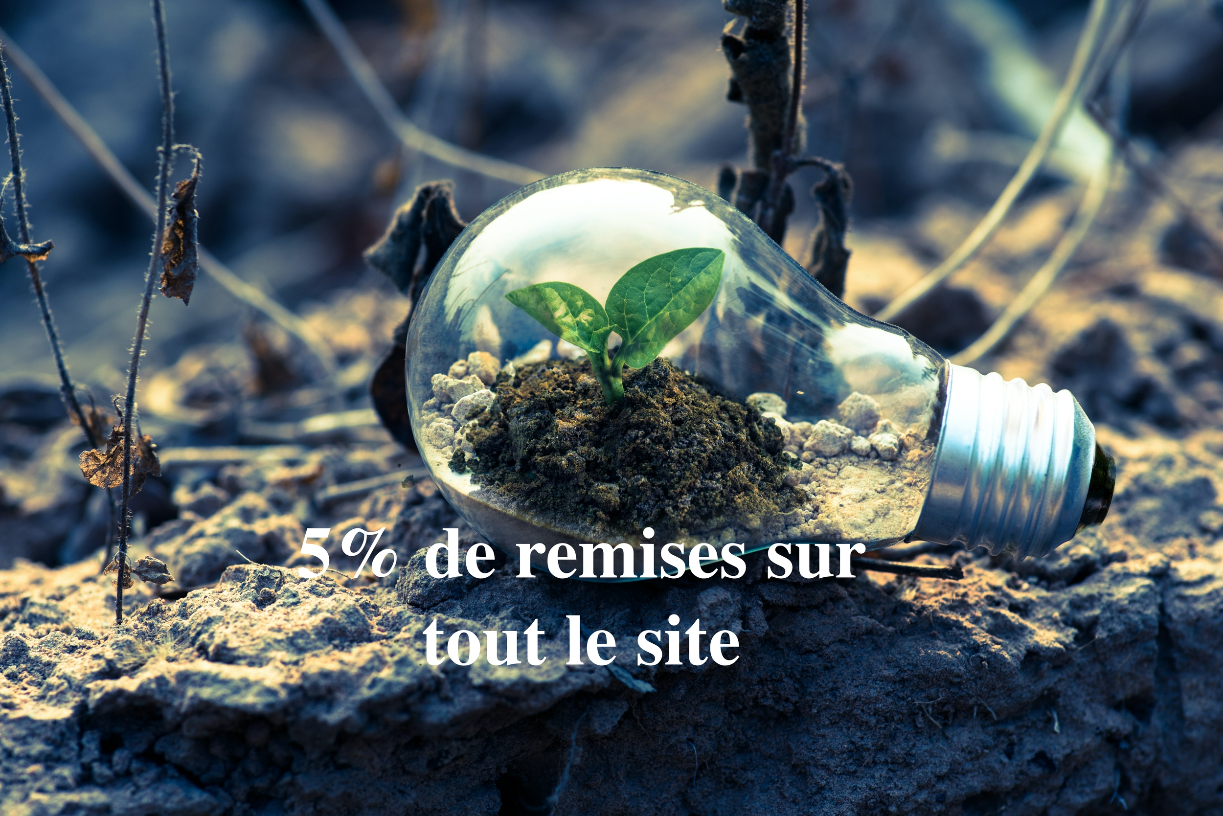 remise copie