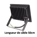 kali-20W