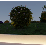 caddie-fade-galeria-6