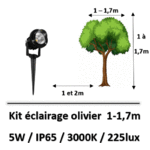 eclairage-olivier