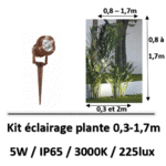 eclairage-de-plante