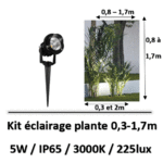 eclairage-de-plante-noir