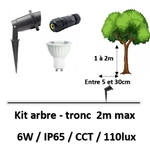 eclairage-de-tronc-arbre