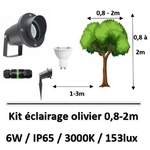 eclairage-led-olivier