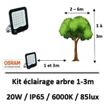 eclairage-arbre