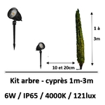 eclairage-cypres