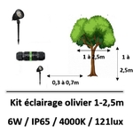 eclairage-olivier-led